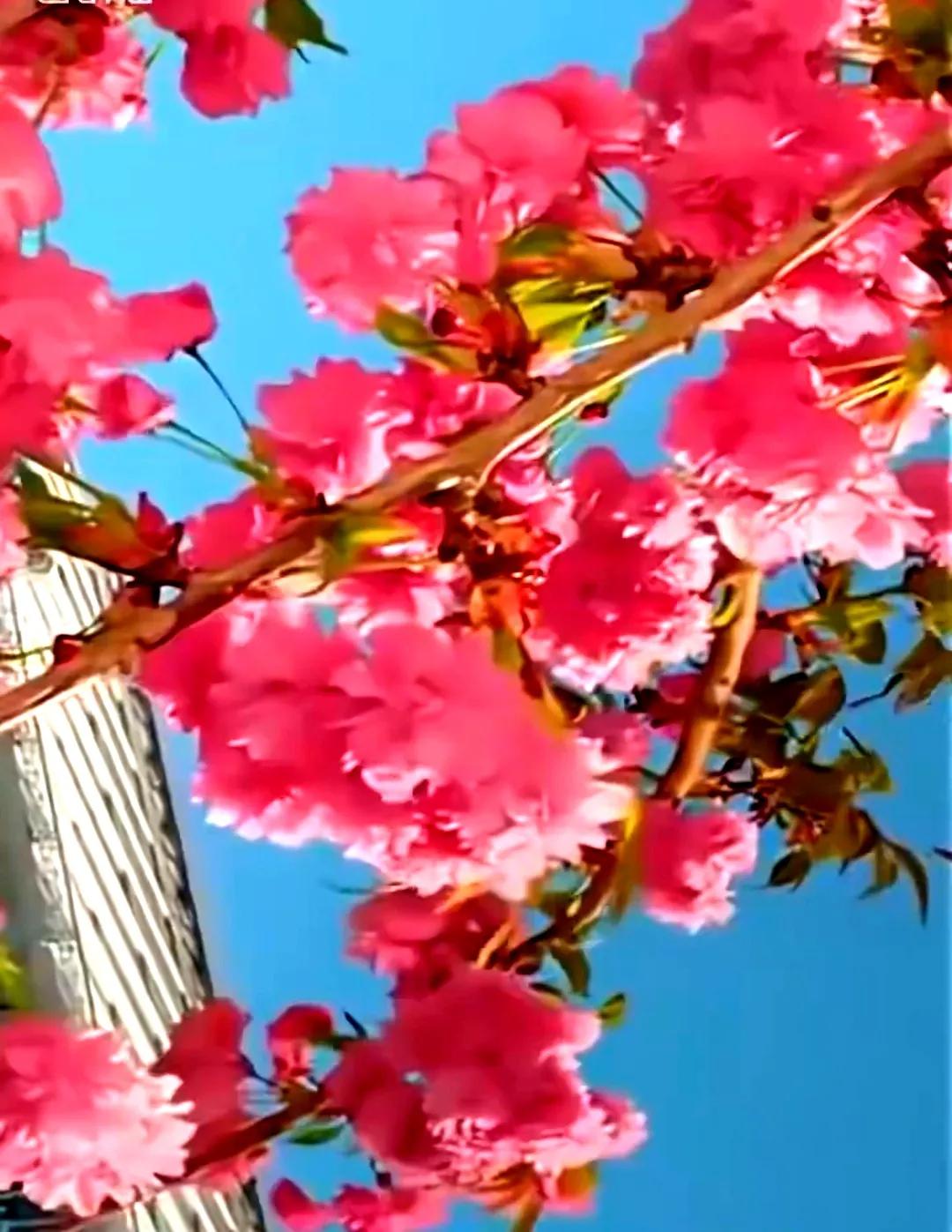 建筑业企业资质管理规定