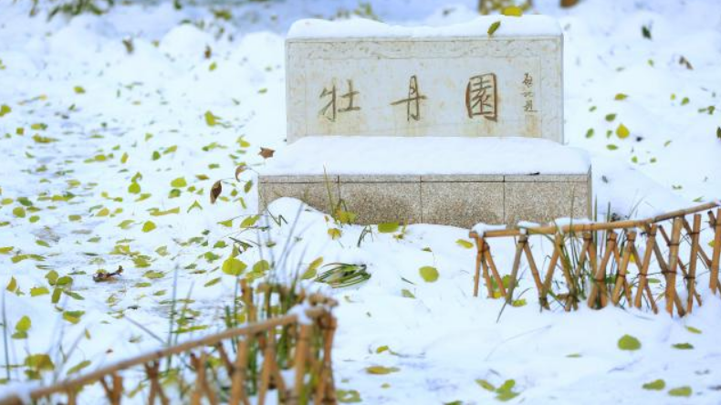 为啥有的高校叫大学，有的却叫学院？两者有何区别？看完就明白了