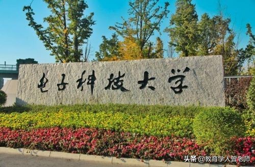 电子科技大学就业情况公布，近半数留在四川，去私企的依然占多数