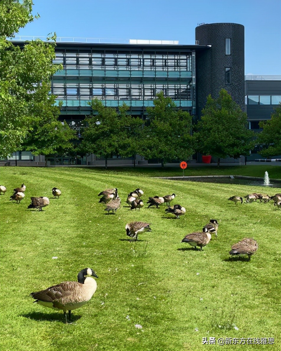 明明是英国最“村”的两所大学，怎么那么受中国留学生喜爱？