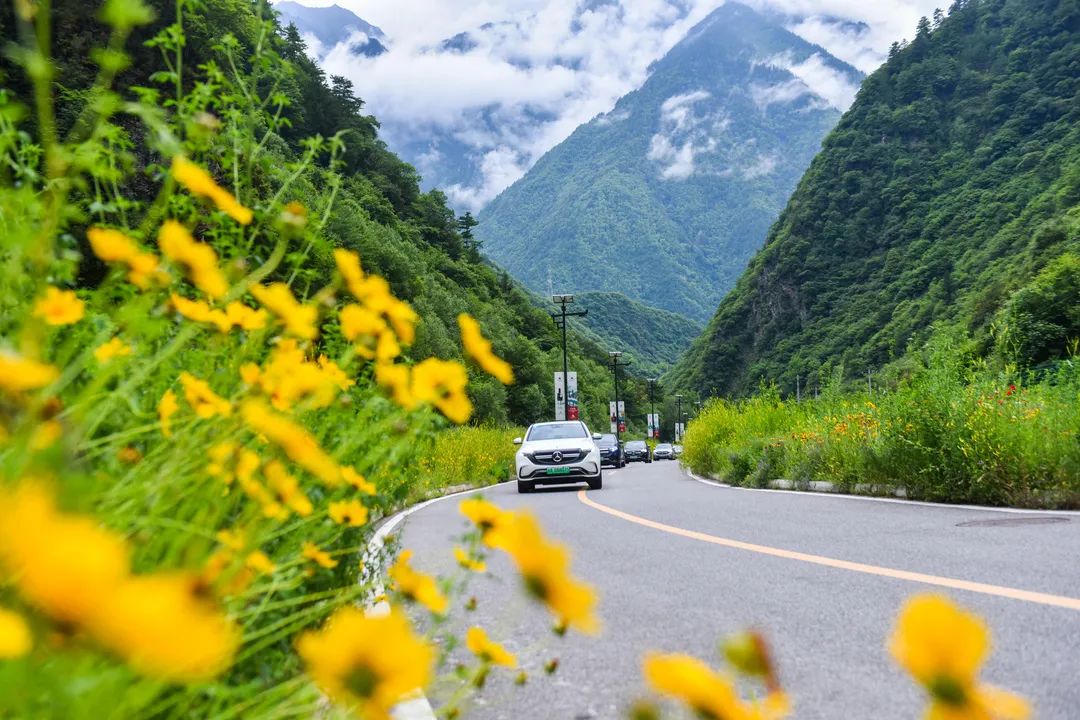 待山河无恙，你我安好，一定共赴春光无限