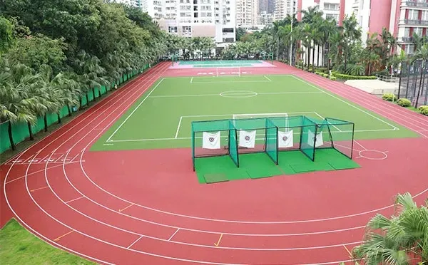 盘点：开设DSE课程的那些国际学校