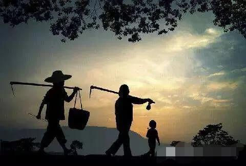 微小说：感恩父母