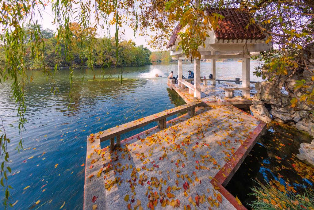 美术类招生80人！“双一流”合肥工业大学2022年录取需要多少分？