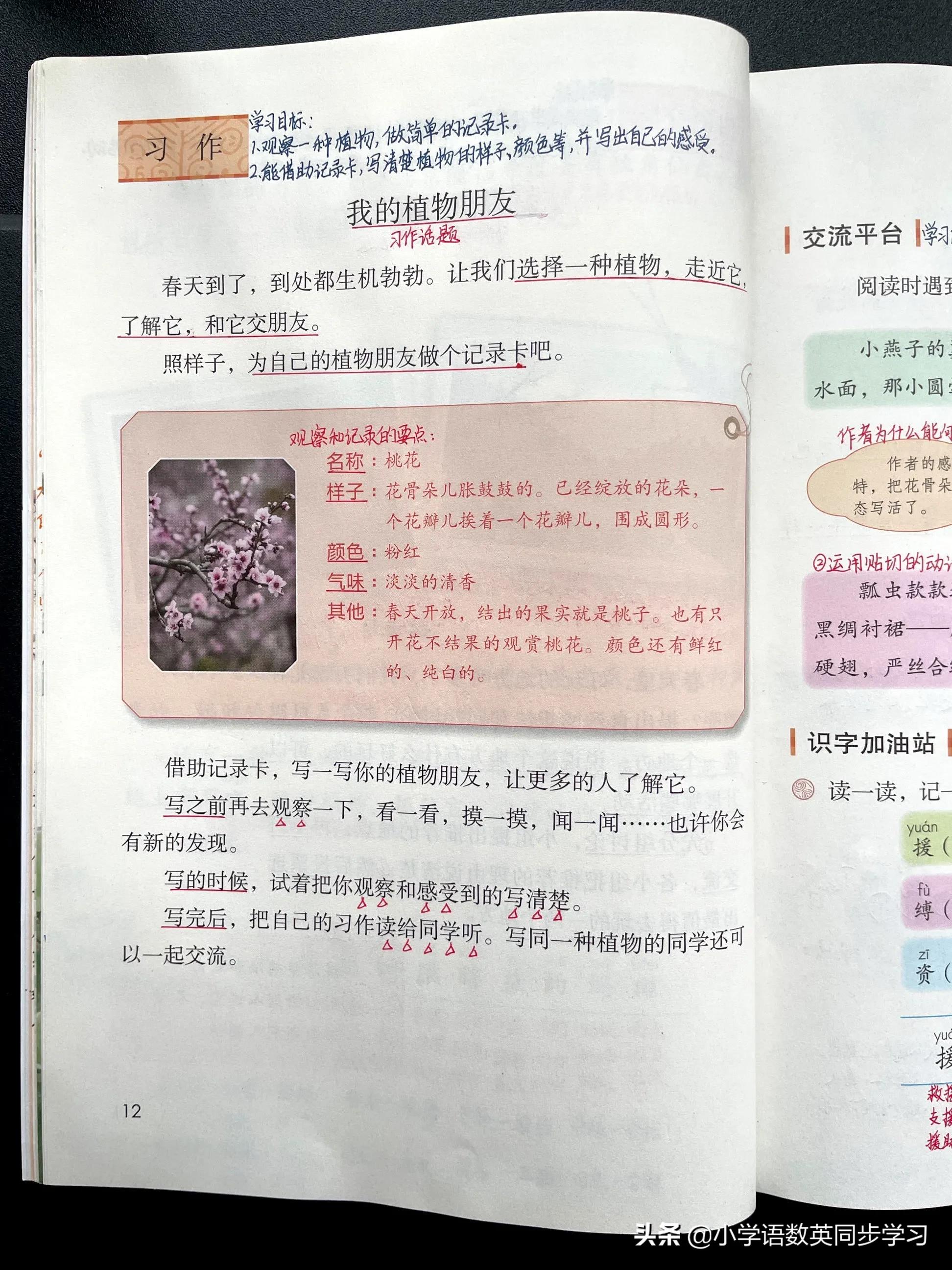三年级下册语文第一单元口语、习作语文园地教师笔记