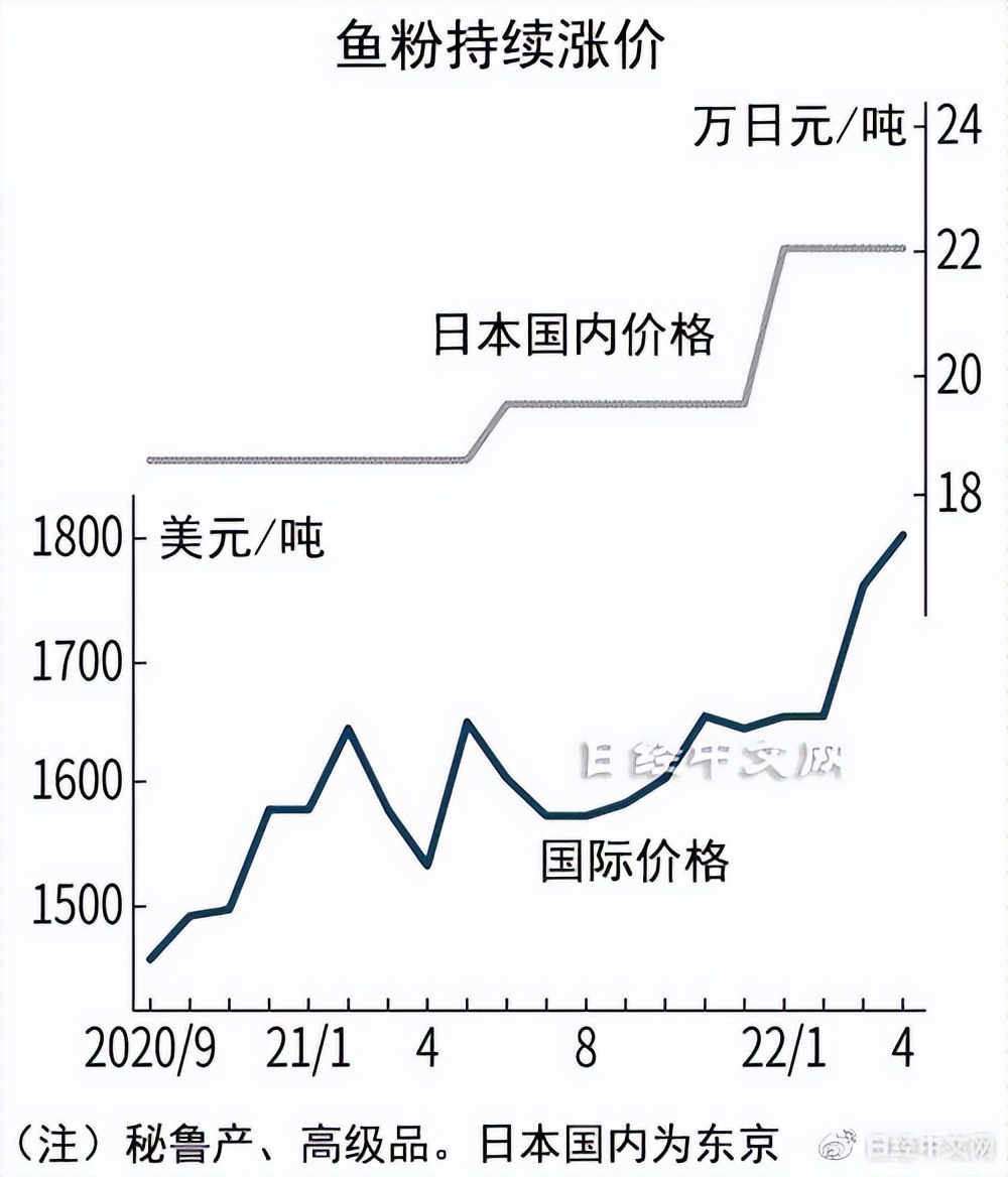 鱼粉国际价格创4年来新高