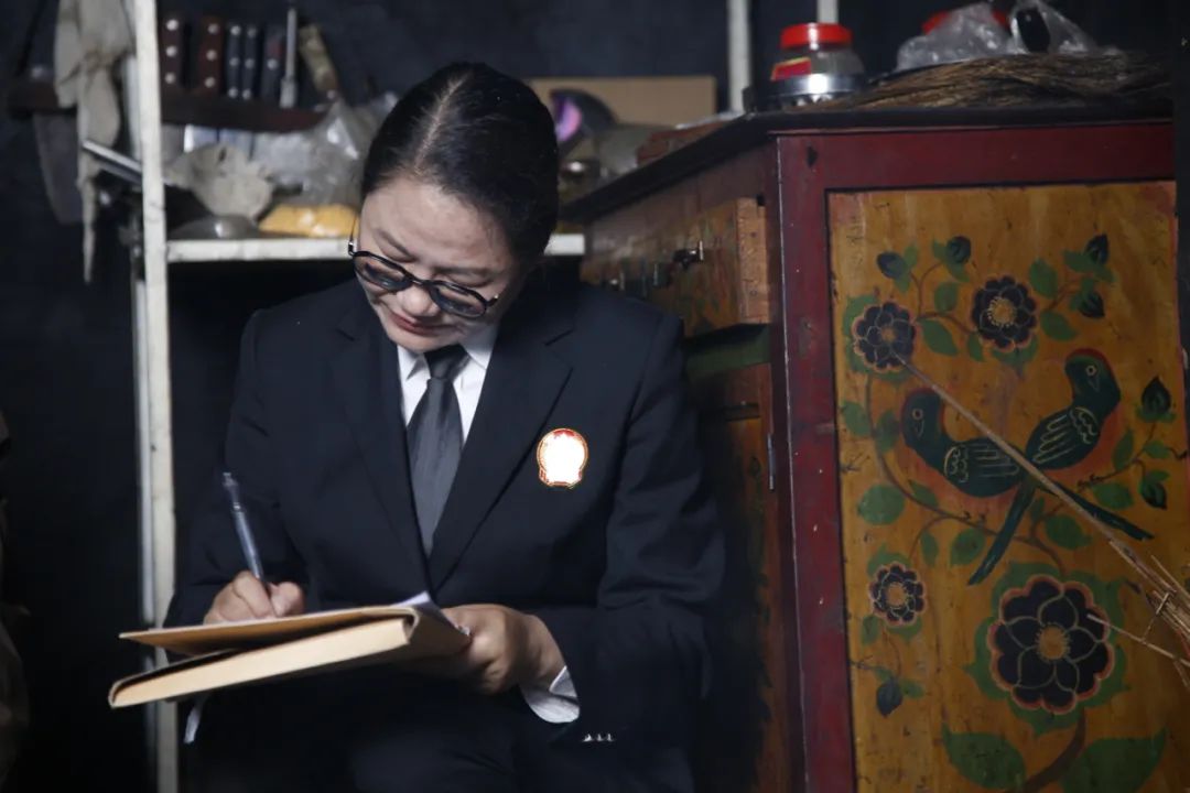 【新闻宣传走基层.他山之石】绽放的“马缨花” ——楚雄市法院洒鸡口法庭侧记