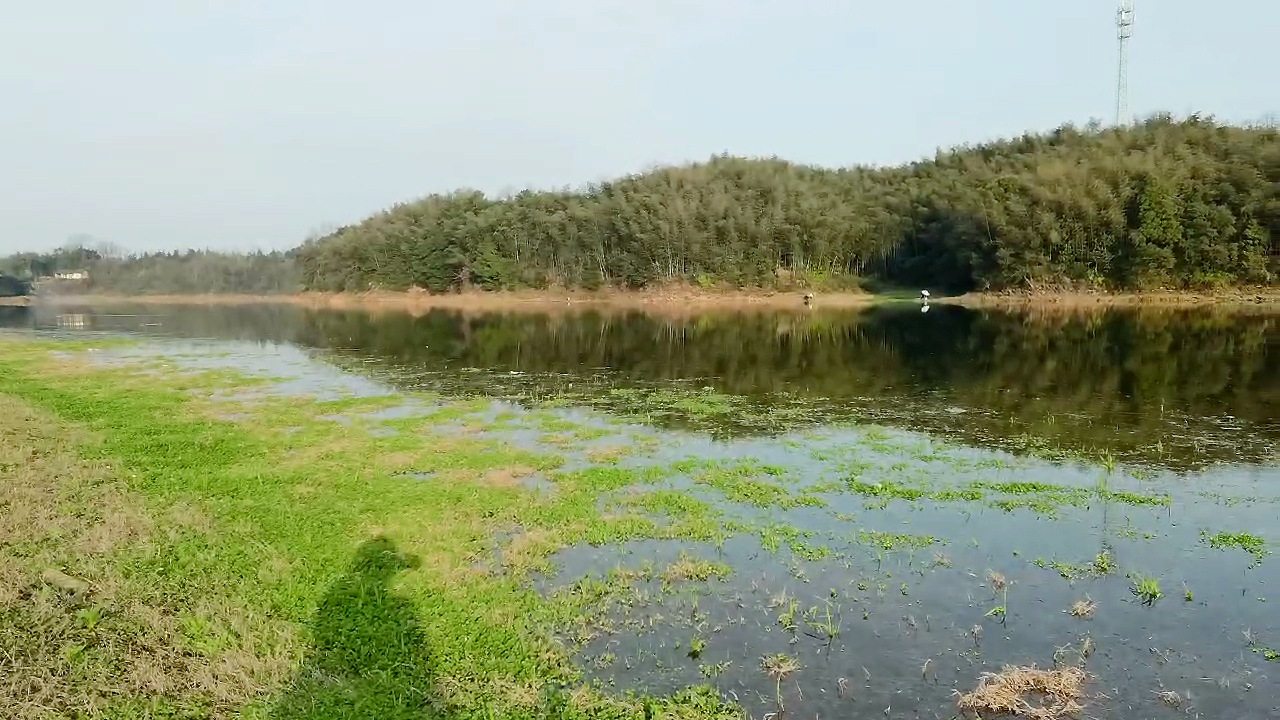 春季钓翘嘴鱼的最佳水深（春季钓鱼的黄金法则详细讲解）