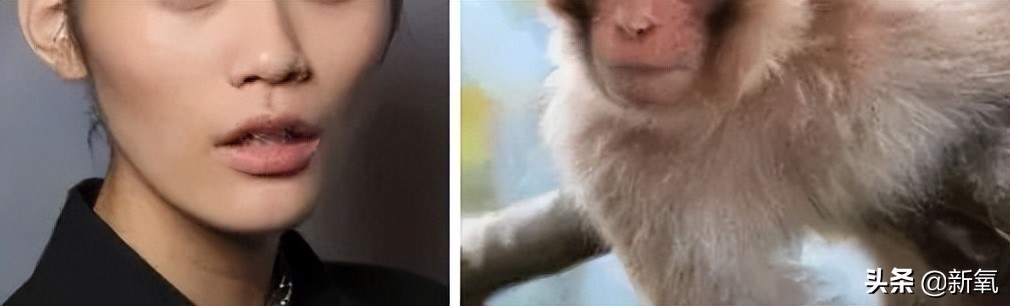 暴瘦30斤还瞬间丑10倍？她也太预言家了…