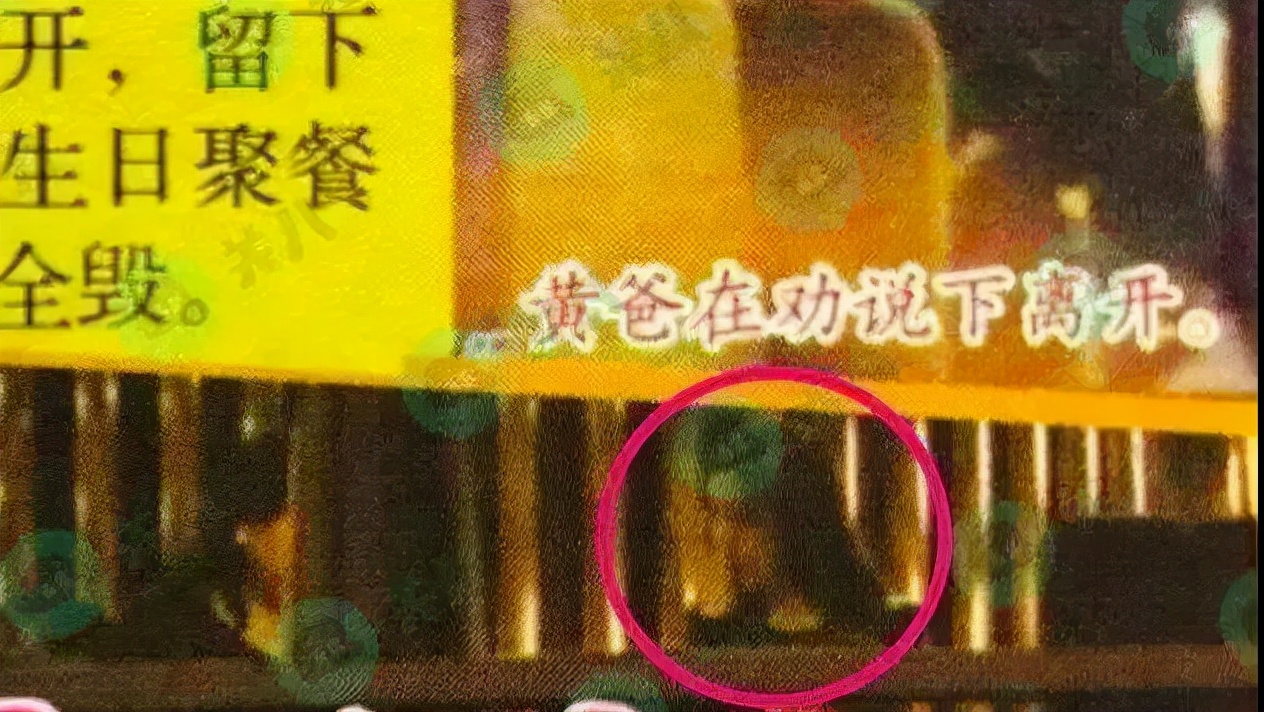 明星亲密被偷拍：马思纯捧脸亲吻，周冬雨忘拉窗帘，袁泉夏雨温馨