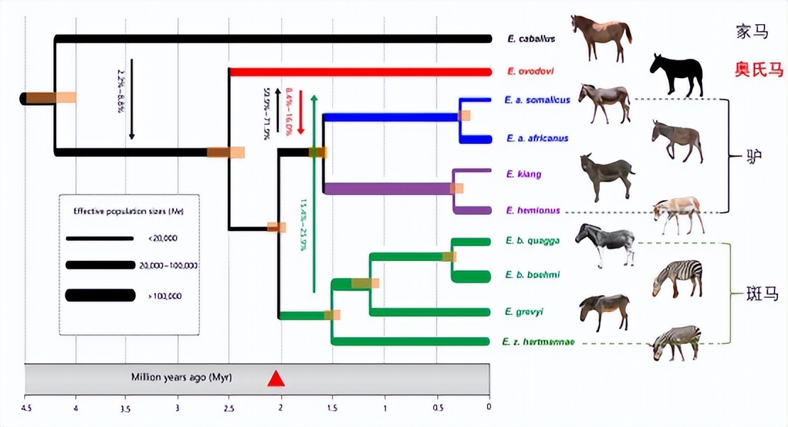 国际首次！吉林大学在顶刊公开发表“硬核成果”，引发国际关注！