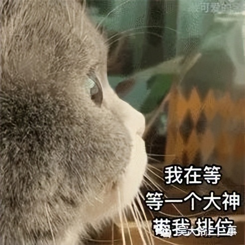 菜鸟该如何上王者