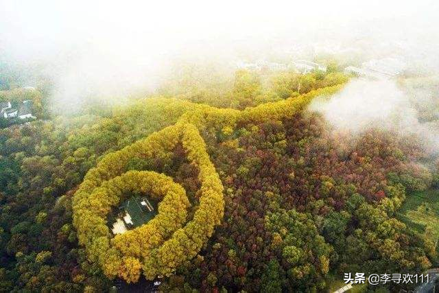 南京大学校徽寓意（虎踞龙盘之地）