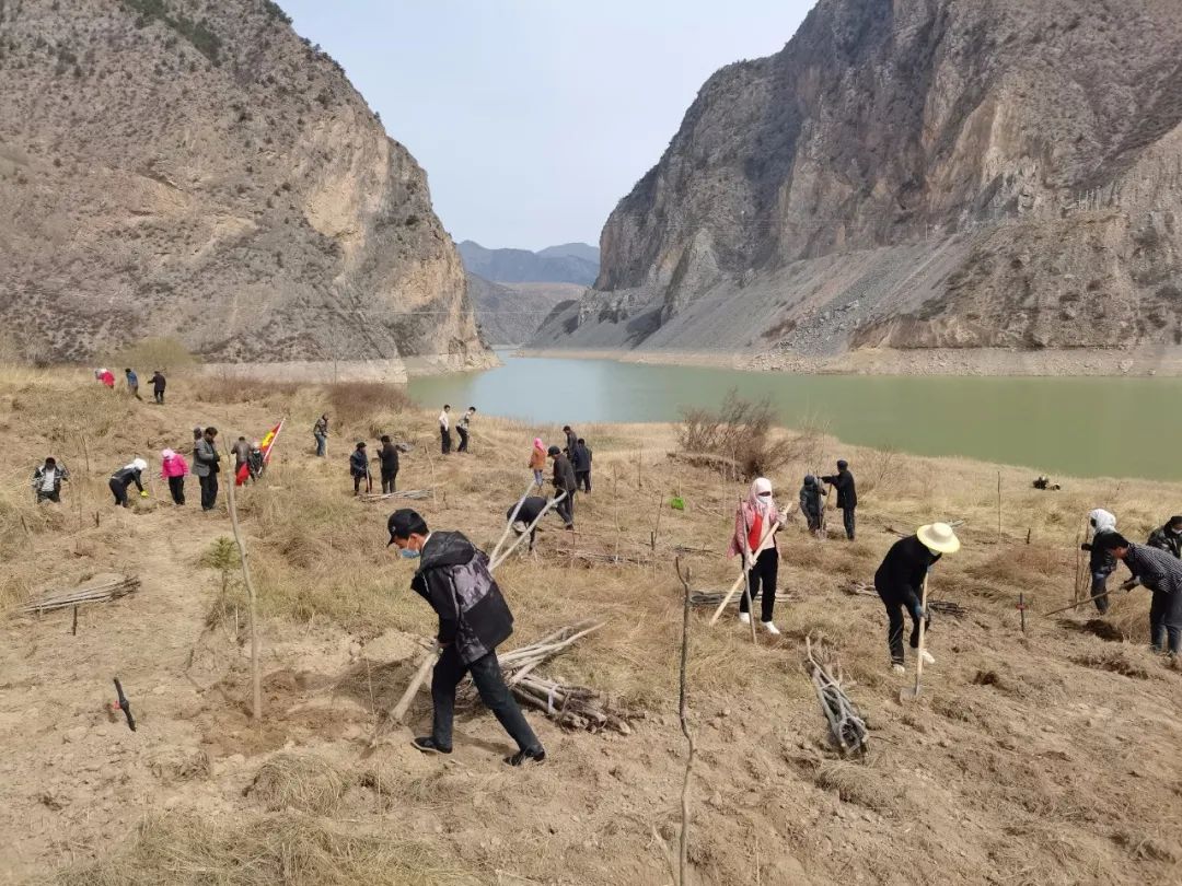 临潭县各乡镇各部门拉开春季义务植树序幕