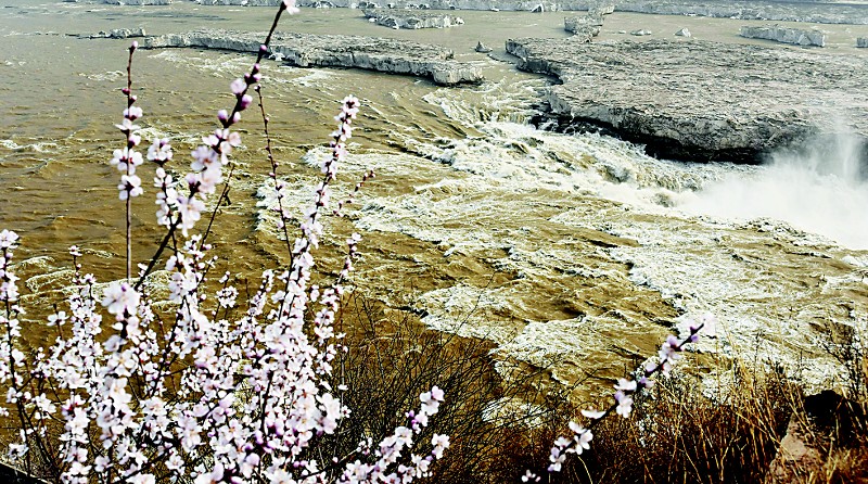 共赴三晋大地游水赏花 尽享春意如诗山河如画