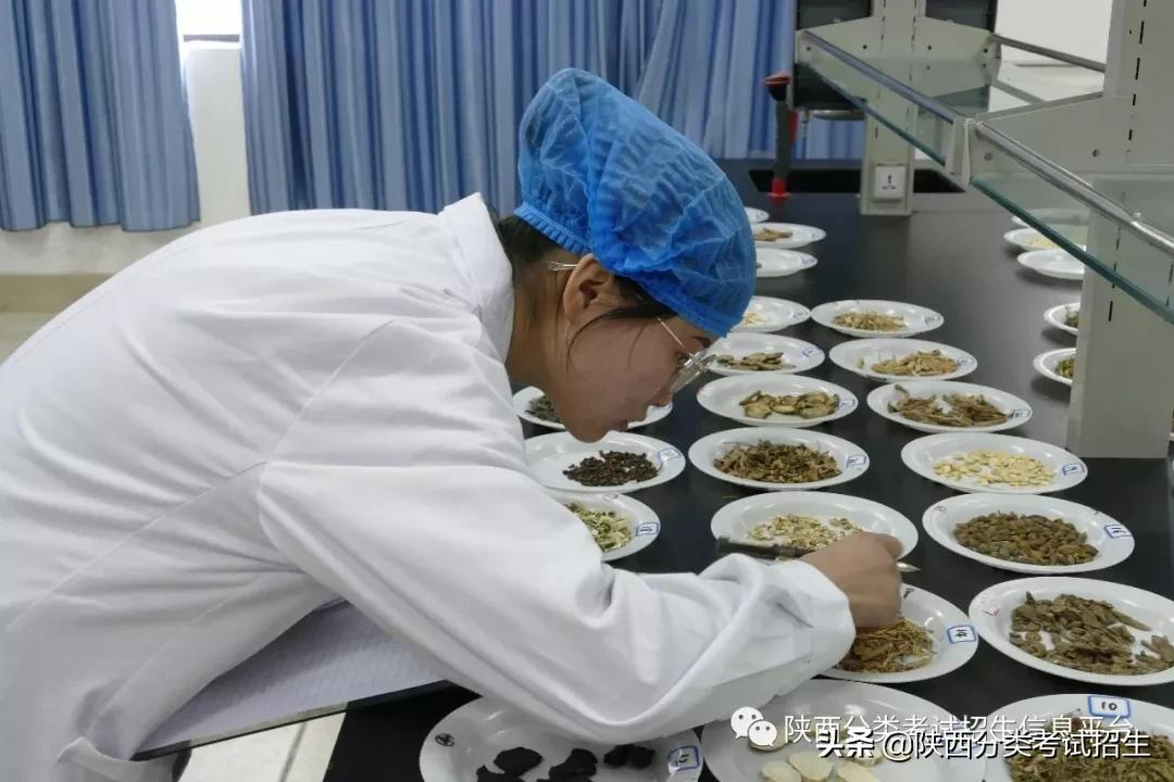 院校风采 || 走进“示范高职院校”—汉中职业技术学院