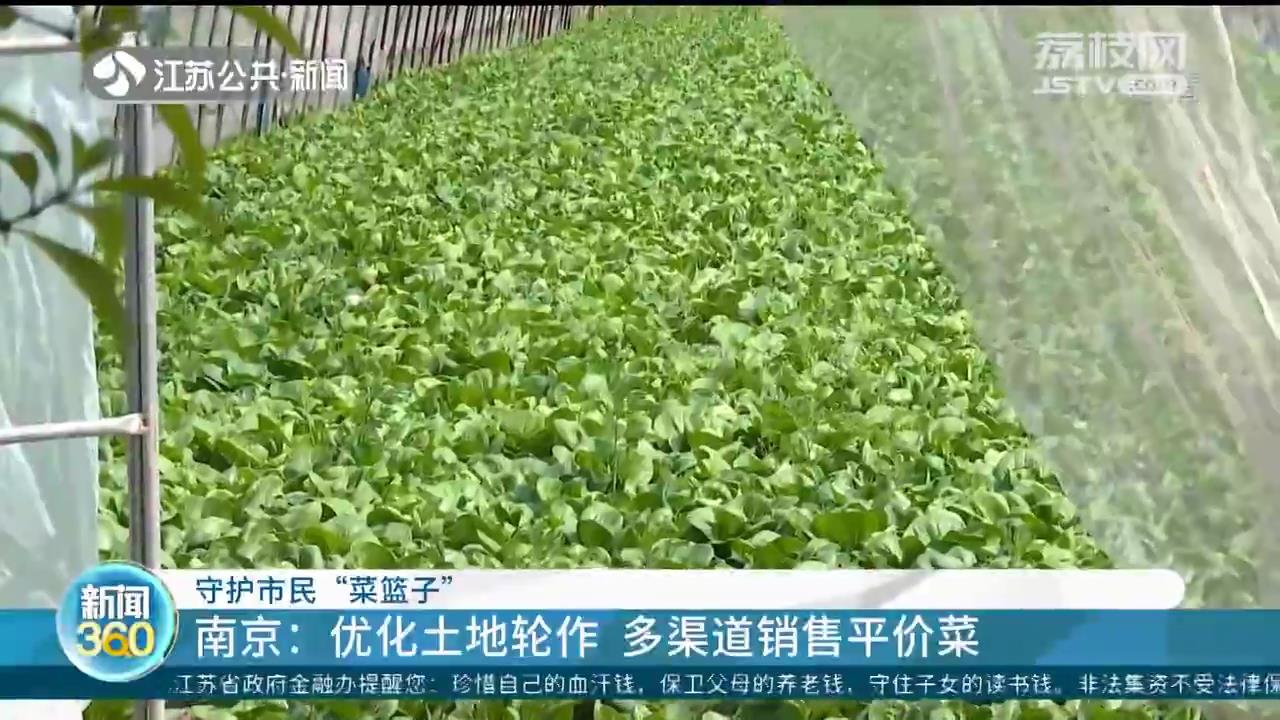 守护市民&ldquo;菜篮子&rdquo;：江苏各地抓好蔬菜生产保供应