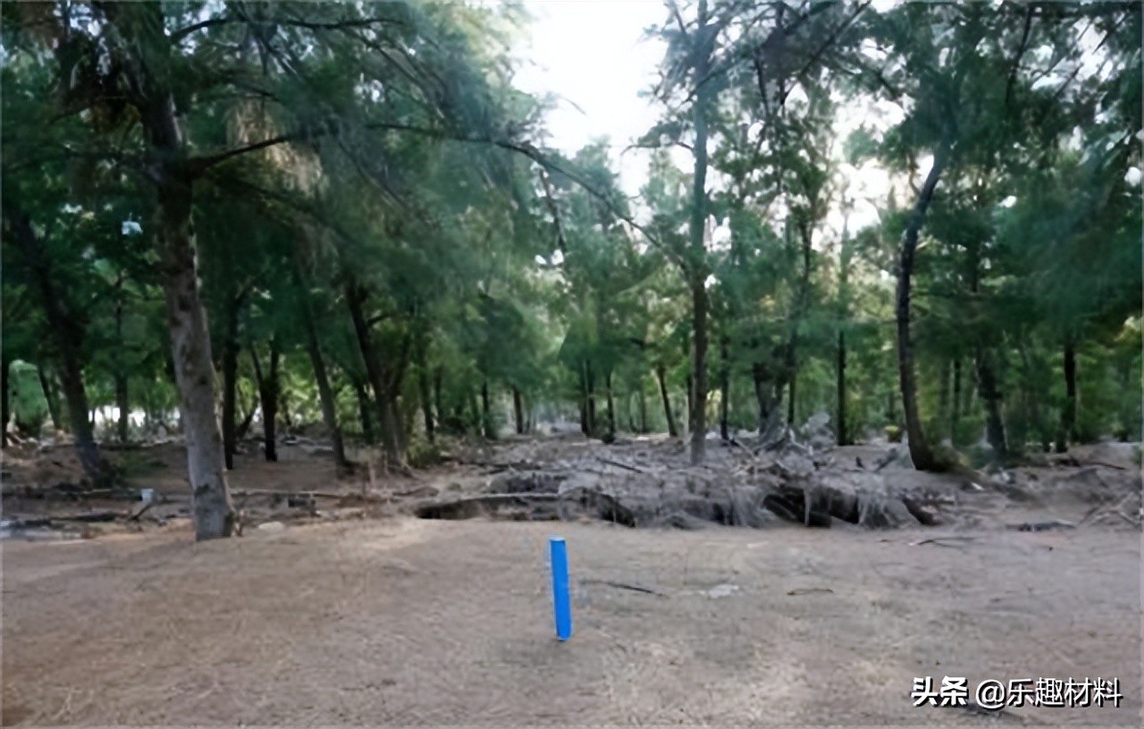 ����벻������ɳ�н����仯���֮�����ջ�̲�����ִ���ɫ�³�