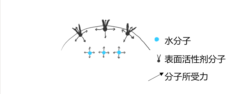 为什么肥皂水能吹出泡泡来？