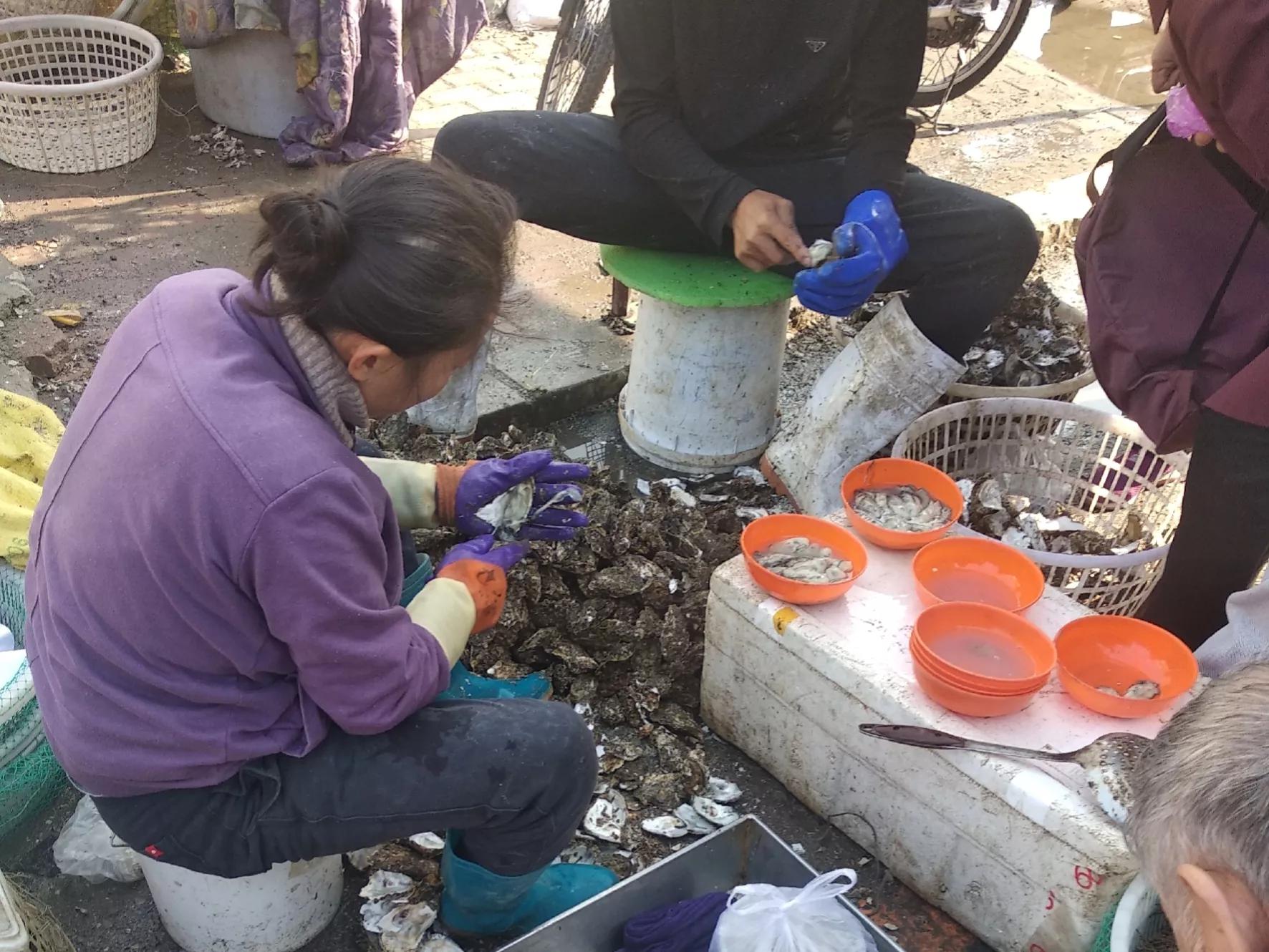 都是牡蠣，海蠣子和生蠔有何區別？弄懂再買不吃虧