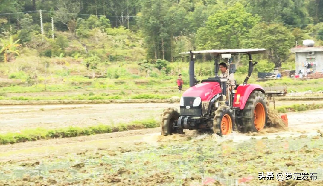 罗定：全面推进农机购置补贴工作 确保国家惠农补贴资金落实到位