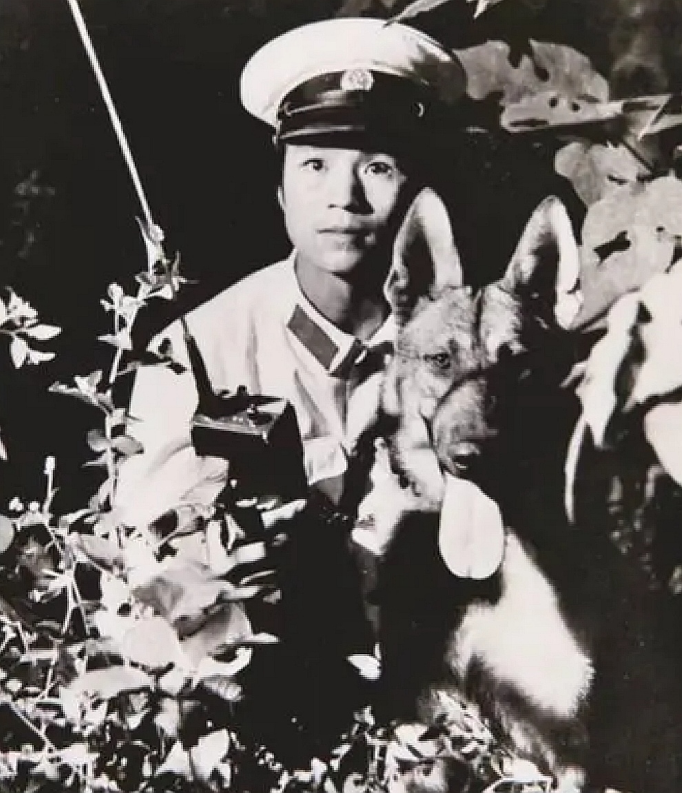 1981年，河南1 动物园2只老虎被害，警察凭1条绿腰带锁定屠虎凶犯