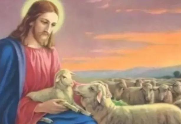 「张信哲」阿哲与爸爸合作歌曲《苍苍》