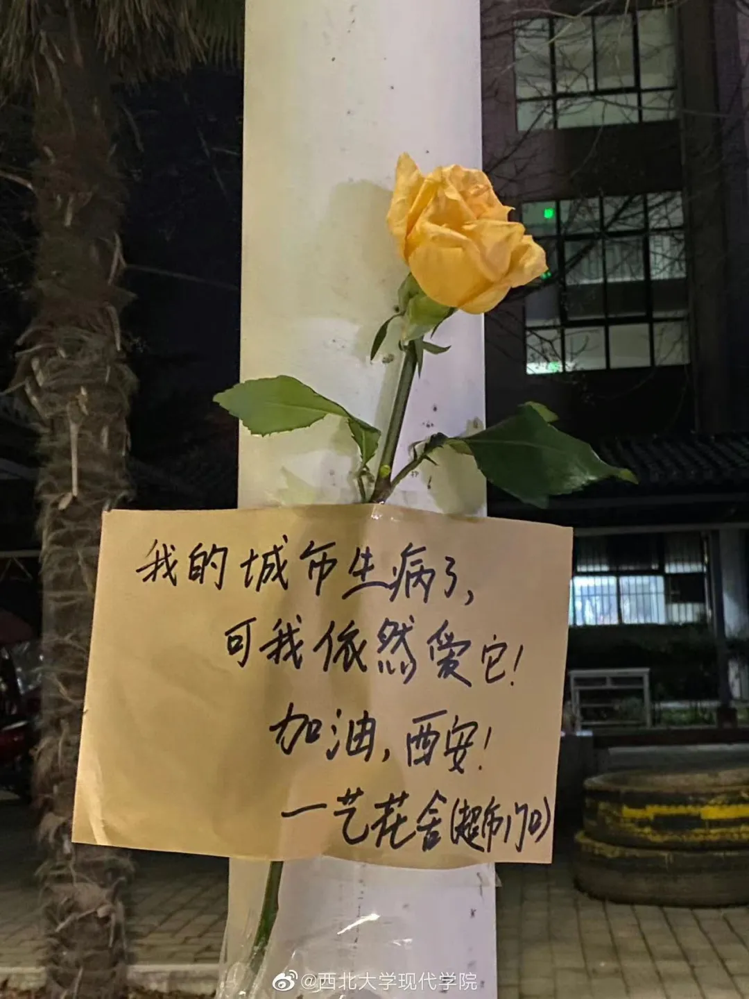 满满的红手印！陕西各大高校学生申请出战……