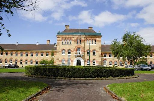 新西兰不仅牛羊肉便宜，居然最利于移民的留学项目，¥10万就能读