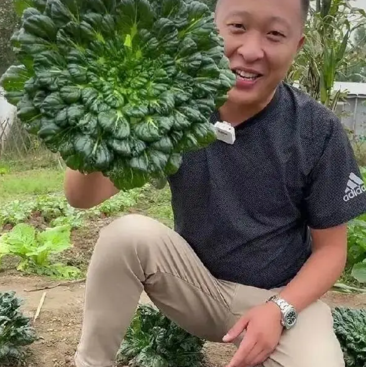 80后山东夫妻，放弃5万月薪，回村种菜，一天卖了120万，凭啥？