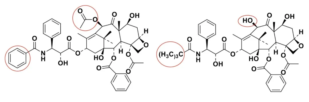 各类紫杉醇,傻傻分不清?