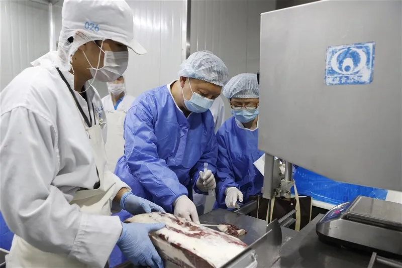 皓月牛肉专卖店价格表一夜爆卖1000万