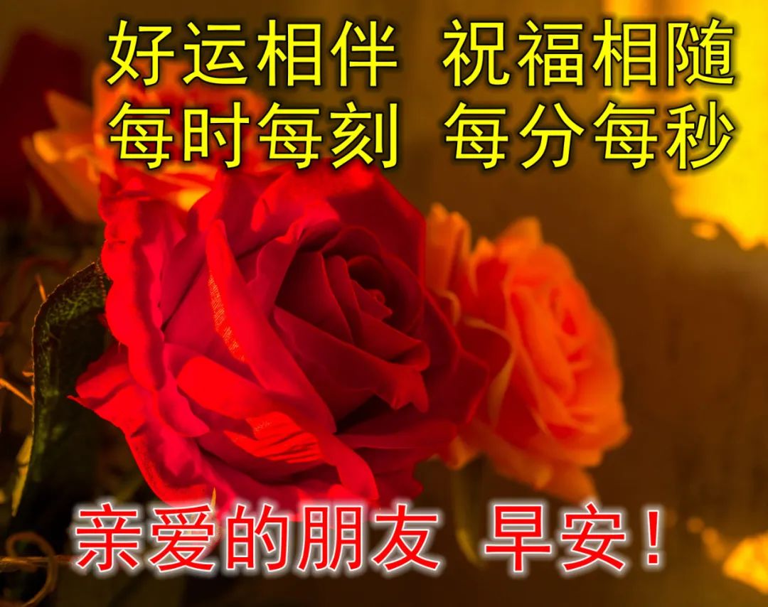早上好最新问候图片 亲爱的朋友早安