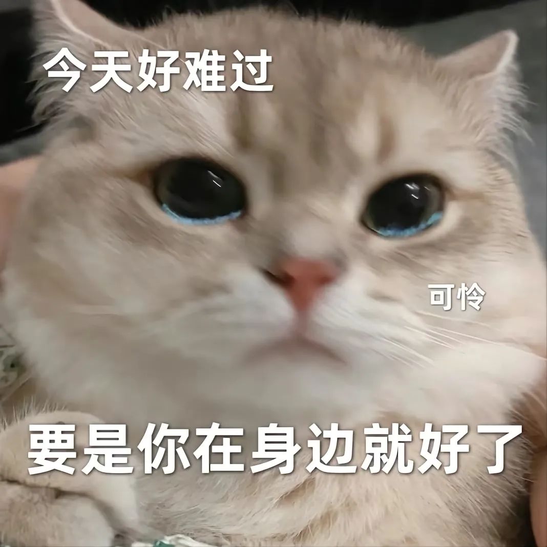 表情包：等能见面了-今日头条