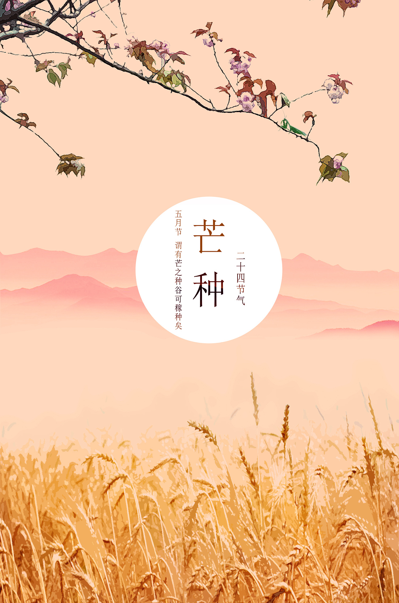 ​《红楼梦》贾宝玉有阳历生日，且是芒种这天，这里面有何玄机？