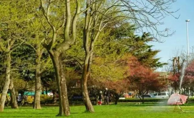 ����Ԥ��������4��5�������ڣ�������ɶ˵����������ũ����Ԥ��