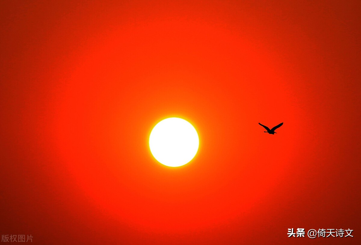 五首修心诗词，人生就是一场修行