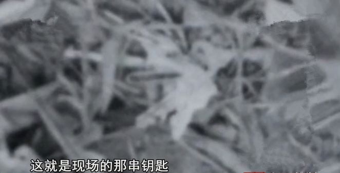 聂树斌案：枪毙10年后真凶出现，母亲执着上诉21年，终还儿子清白