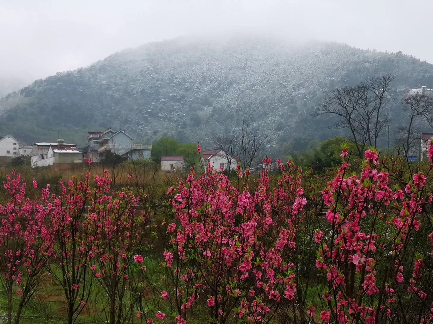 当涂这些被“雪藏”的美景，你都发现了吗？