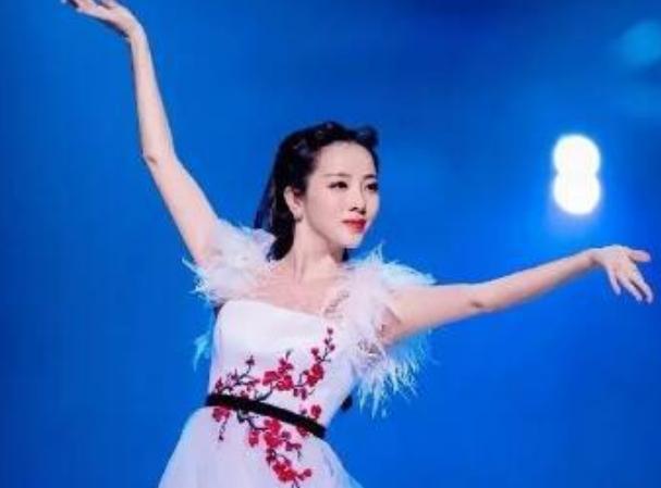 高考有变化，撒贝宁走的“高考捷径”将于2024年取消，考生需了解