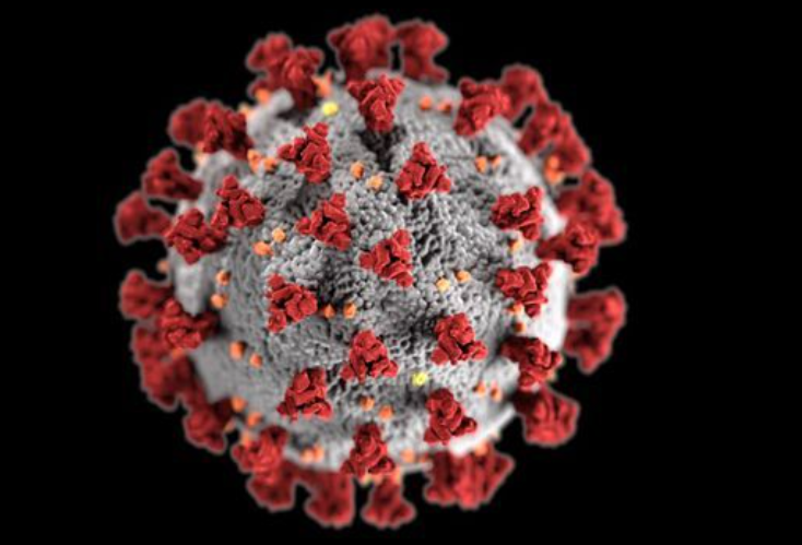 2003 年让人胆寒的非典,是怎么消失的?为什么新冠如此难以消除?