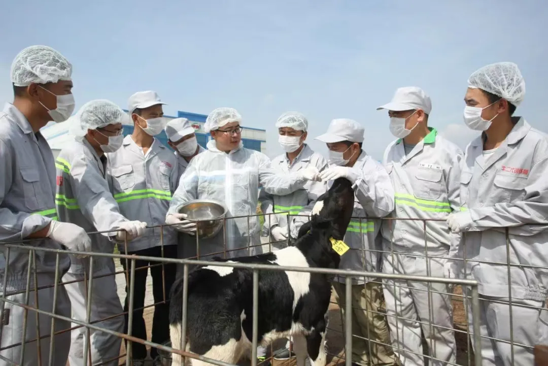 两大国家级中心落户伊利现代智慧健康谷,“后千亿时代”的伊利在下什么棋?