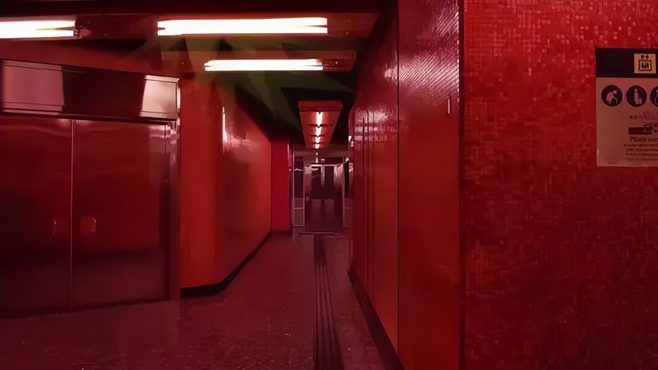 人类很有趣，结构相同爱却不同