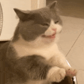 尴尬到脚趾抠出别墅的9分钟，怎么会有这么招人烦的女明星啊？