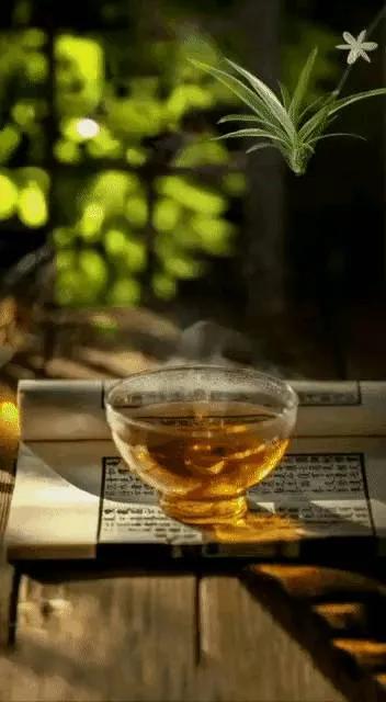 每一个人都有雨天没伞的时候(感悟)