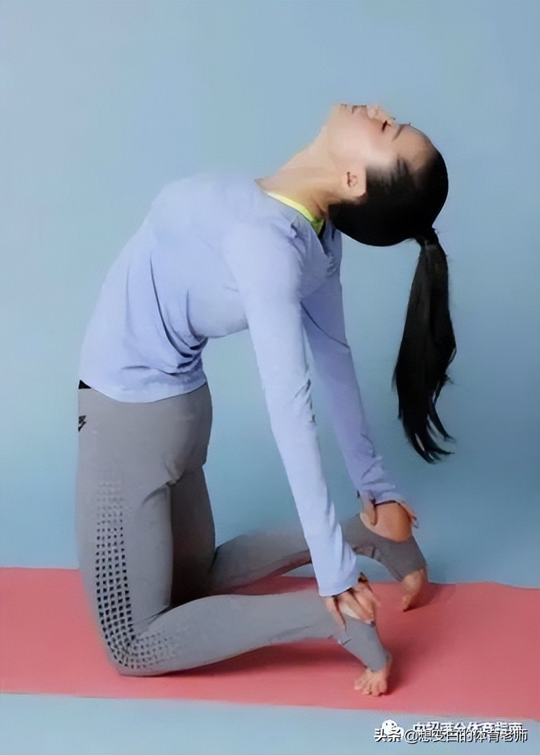 坐位体前屈训练方法图评分标准 坐位体前屈的标准动作要领 万网时代