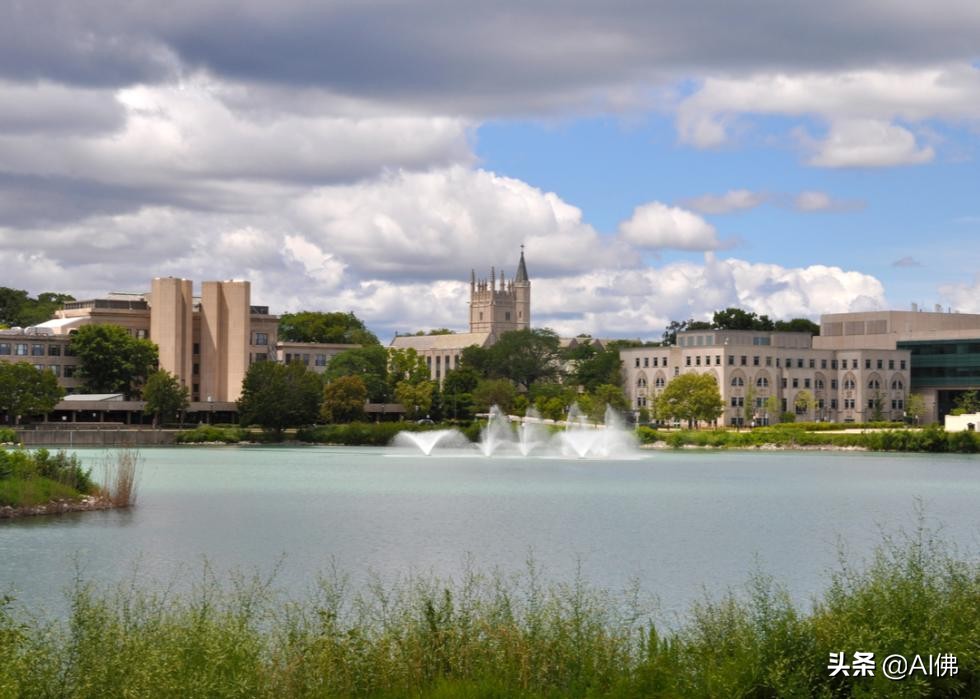 2022年美国大学排名最高的州