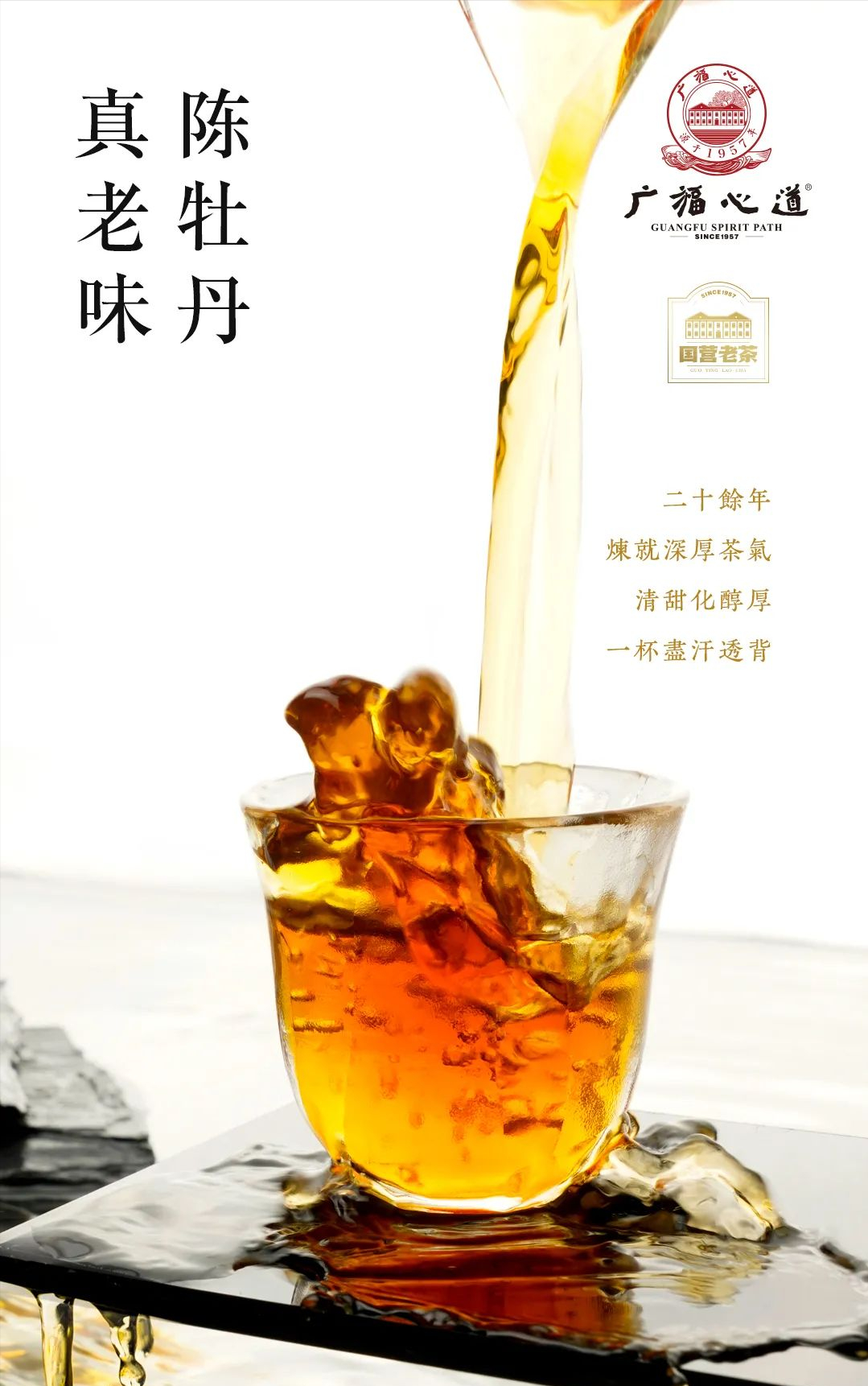 茶井·庚辰：2000年老牡丹，国营茶味活化石