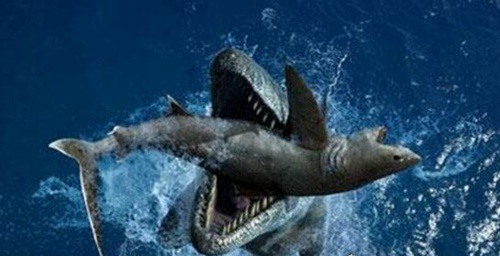 史上牙齿最长的鲨鱼图片