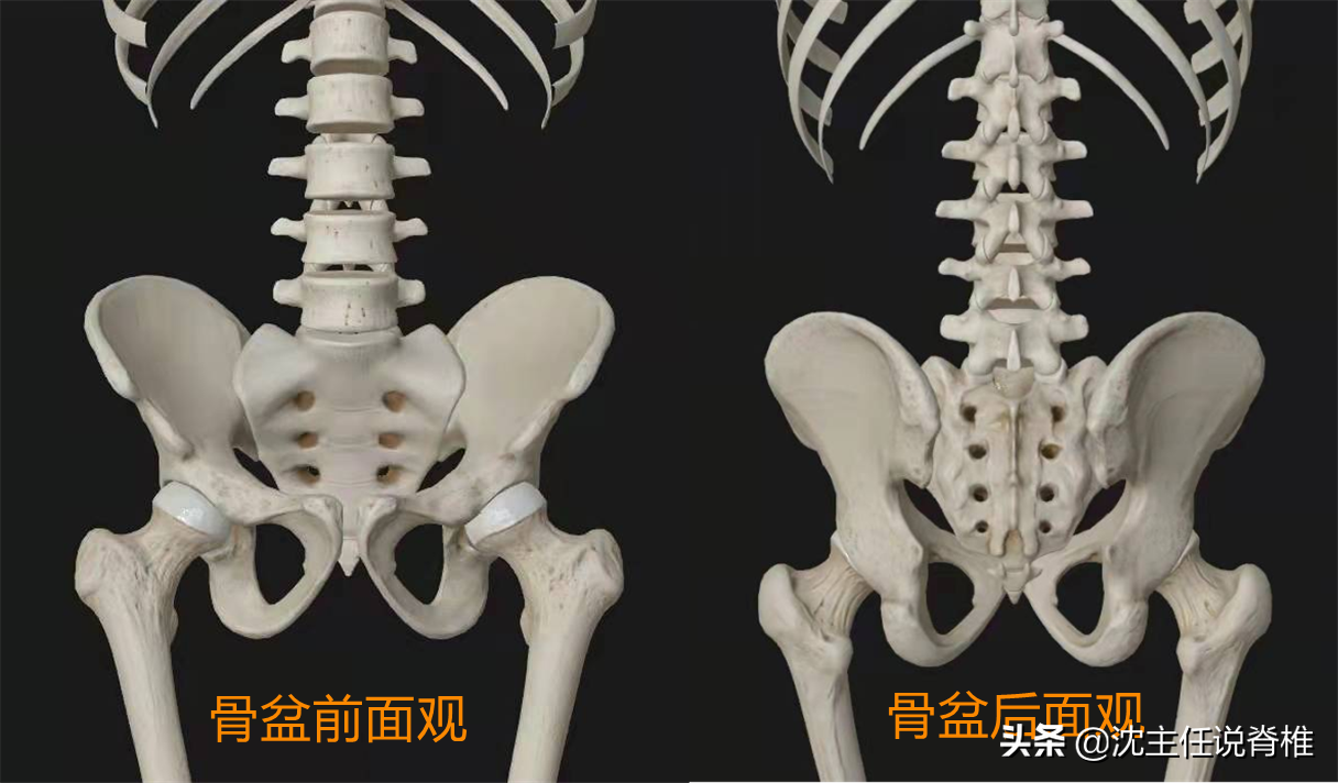 腰臀或下肢痛，是腰肌劳损、腰突症吗？不一定，还有这些原因